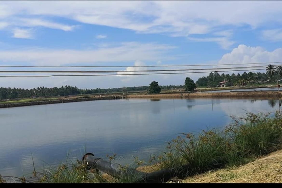 Land for Sale in San Vicente, Banaybanay, Davao Oriental