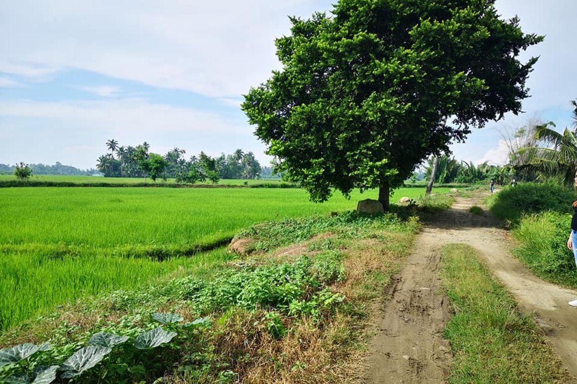 Land for Sale in San Vicente, Banaybanay, Davao Oriental – photo 6