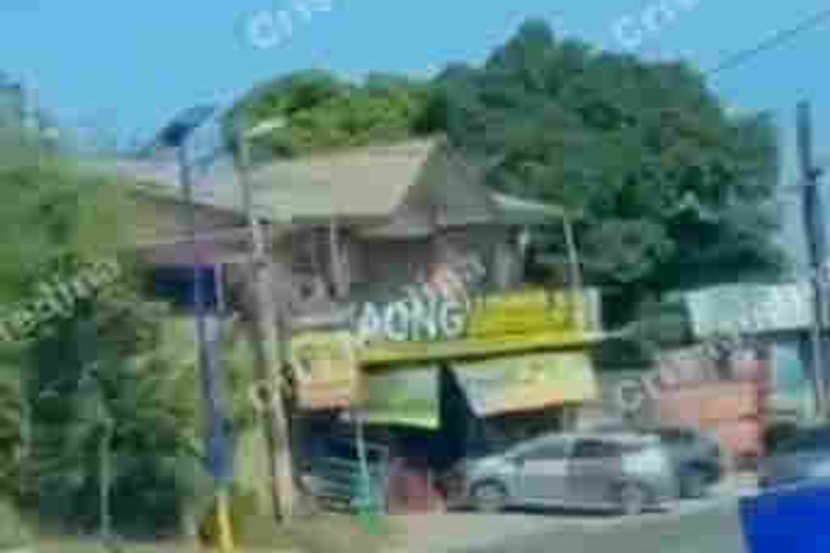 Land for Sale in San Vicente II, Silang, Cavite – photo 3