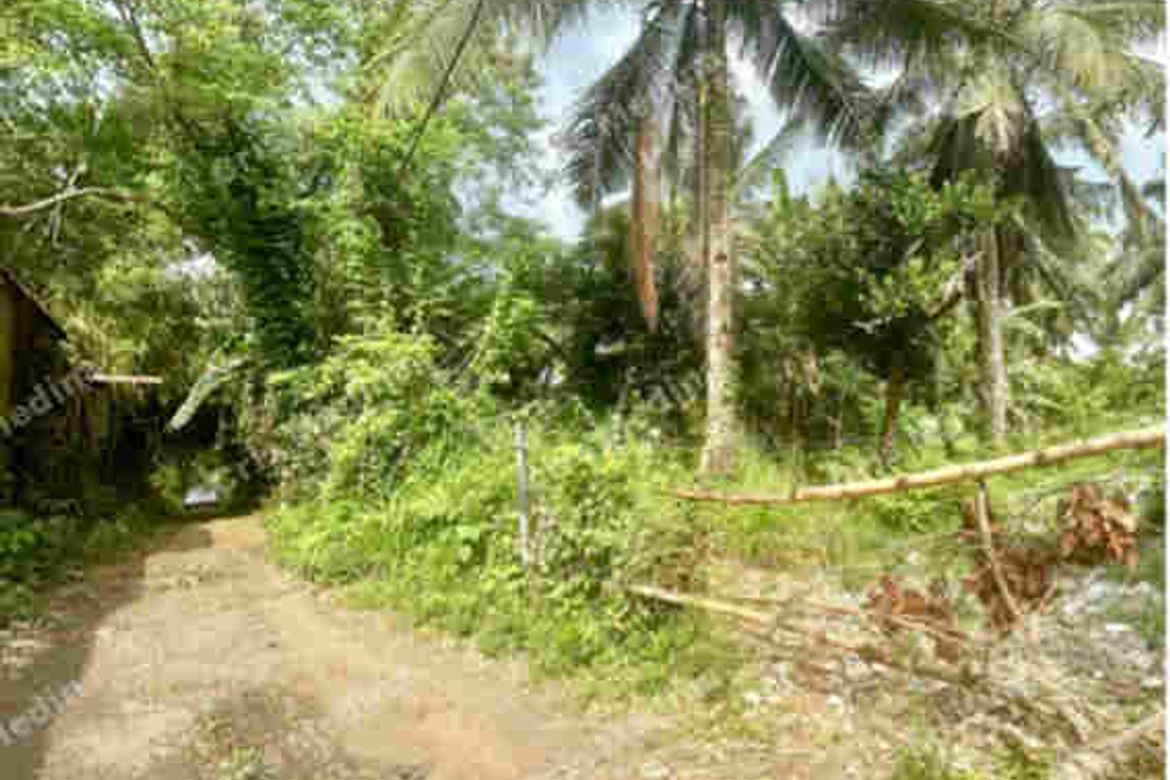 Land for Sale in San Vicente II, Silang, Cavite – photo 5