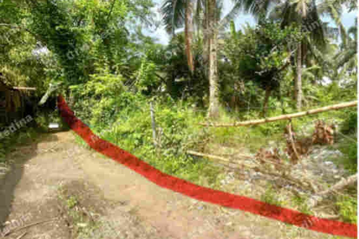 Land for Sale in San Vicente II, Silang, Cavite – photo 6
