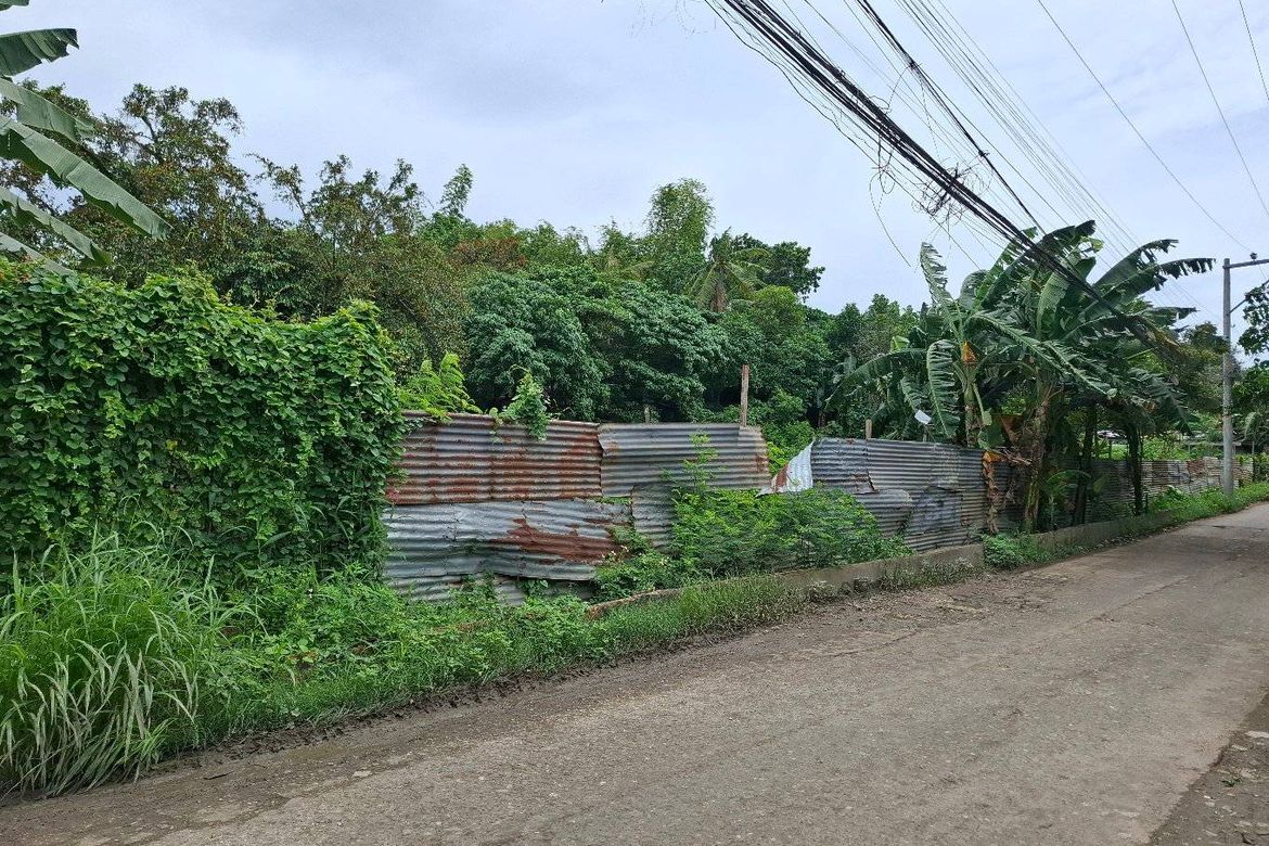 Land for Sale in San Vicente, Liloan, Cebu – photo 2