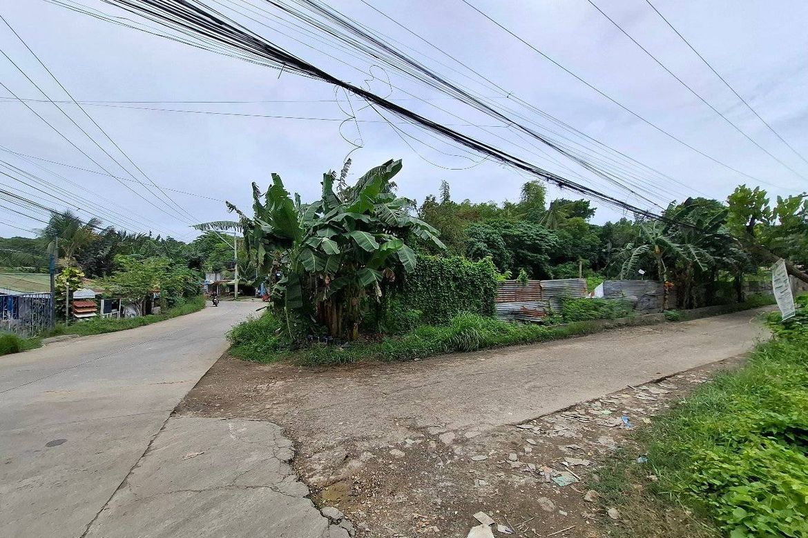 Land for Sale in San Vicente, Liloan, Cebu – photo 5