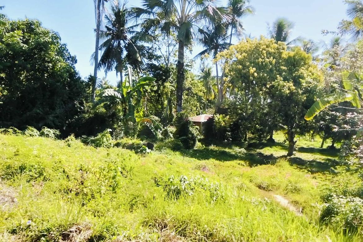 Land for Sale in San Vicente, Liloan, Cebu – photo 3