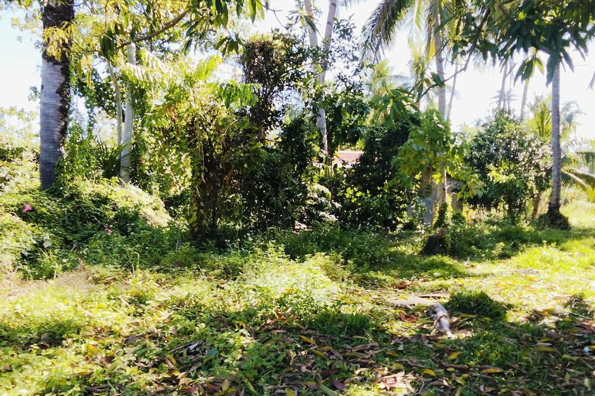Land for Sale in San Vicente, Liloan, Cebu – photo 6