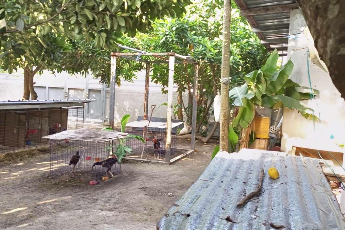 Land for Sale in San Vicente, Magalang, Pampanga – photo 5