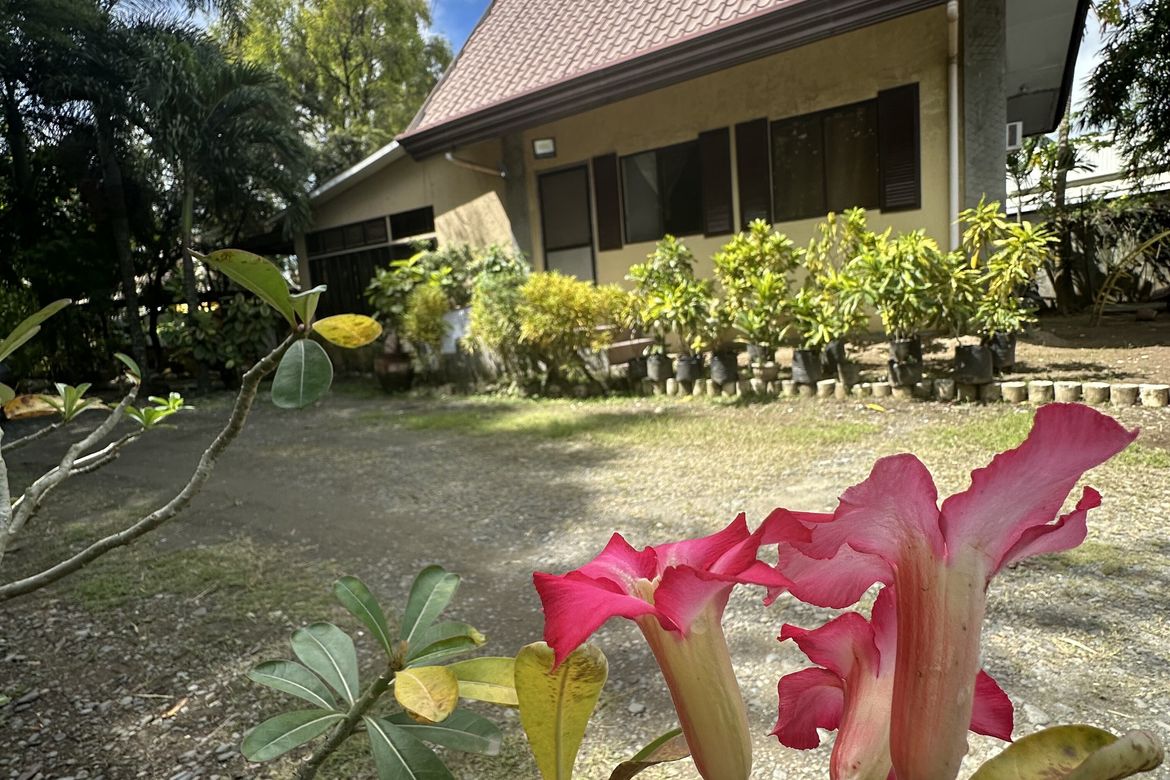 Land for Sale in San Vicente, Panabo, Davao del Norte
