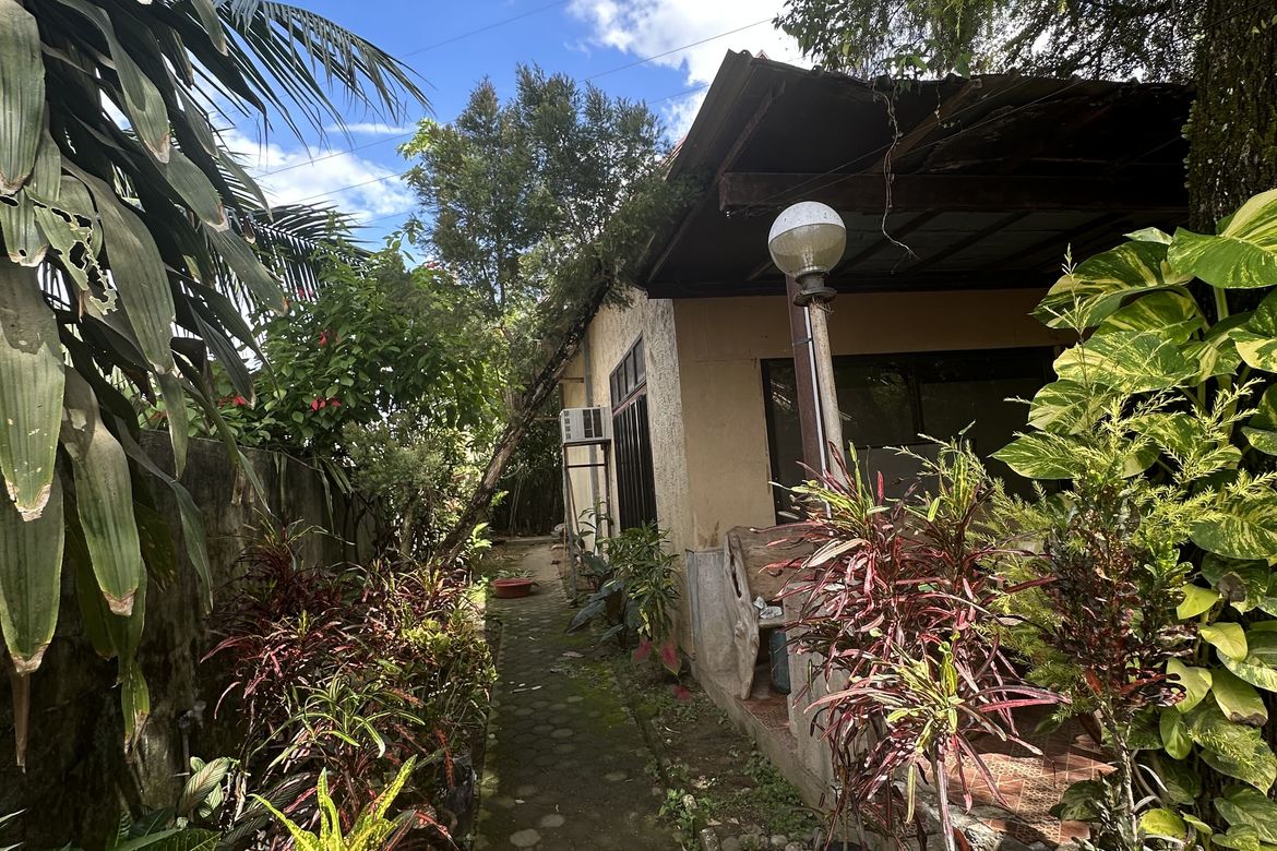 Land for Sale in San Vicente, Panabo, Davao del Norte – photo 3