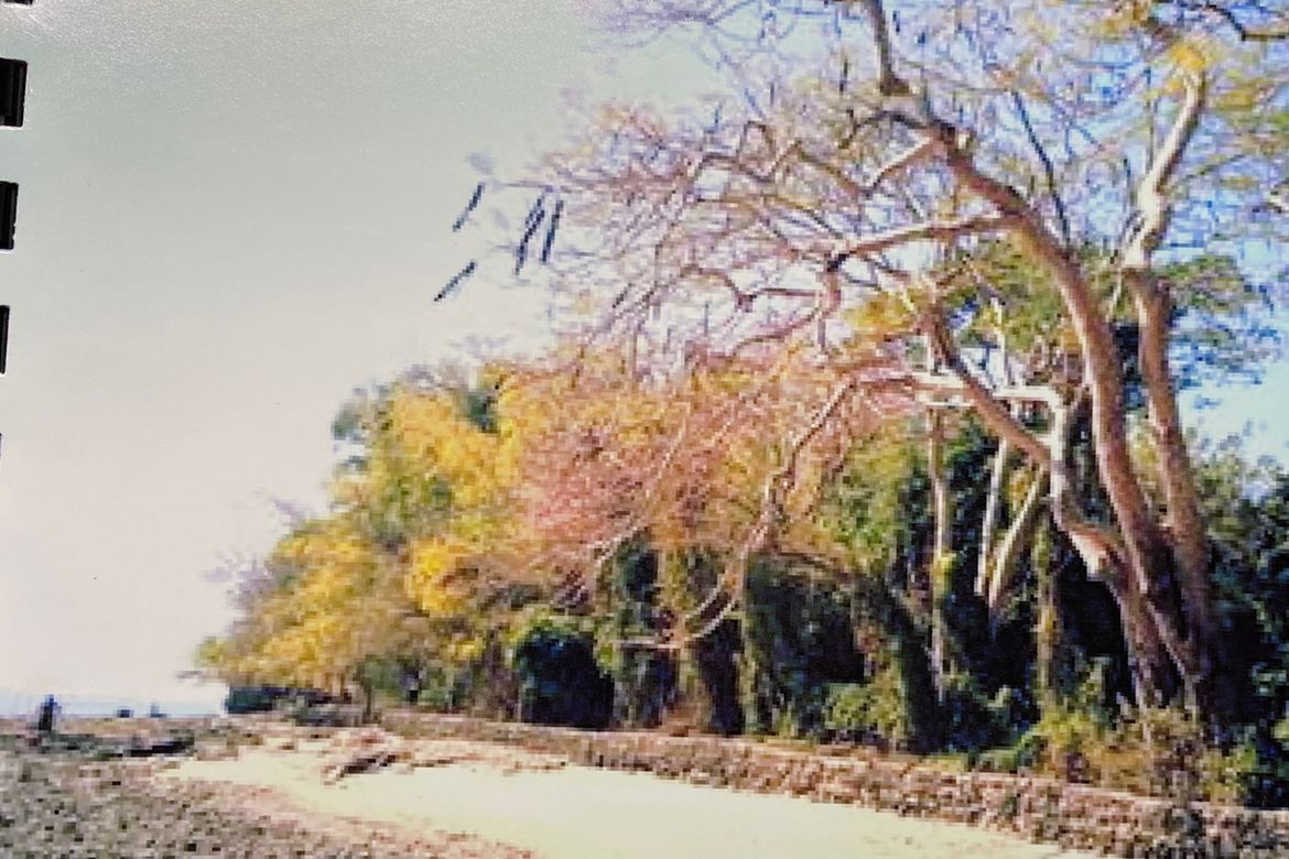 Land for Sale in San Vicente, San Fernando, La Union – photo 2