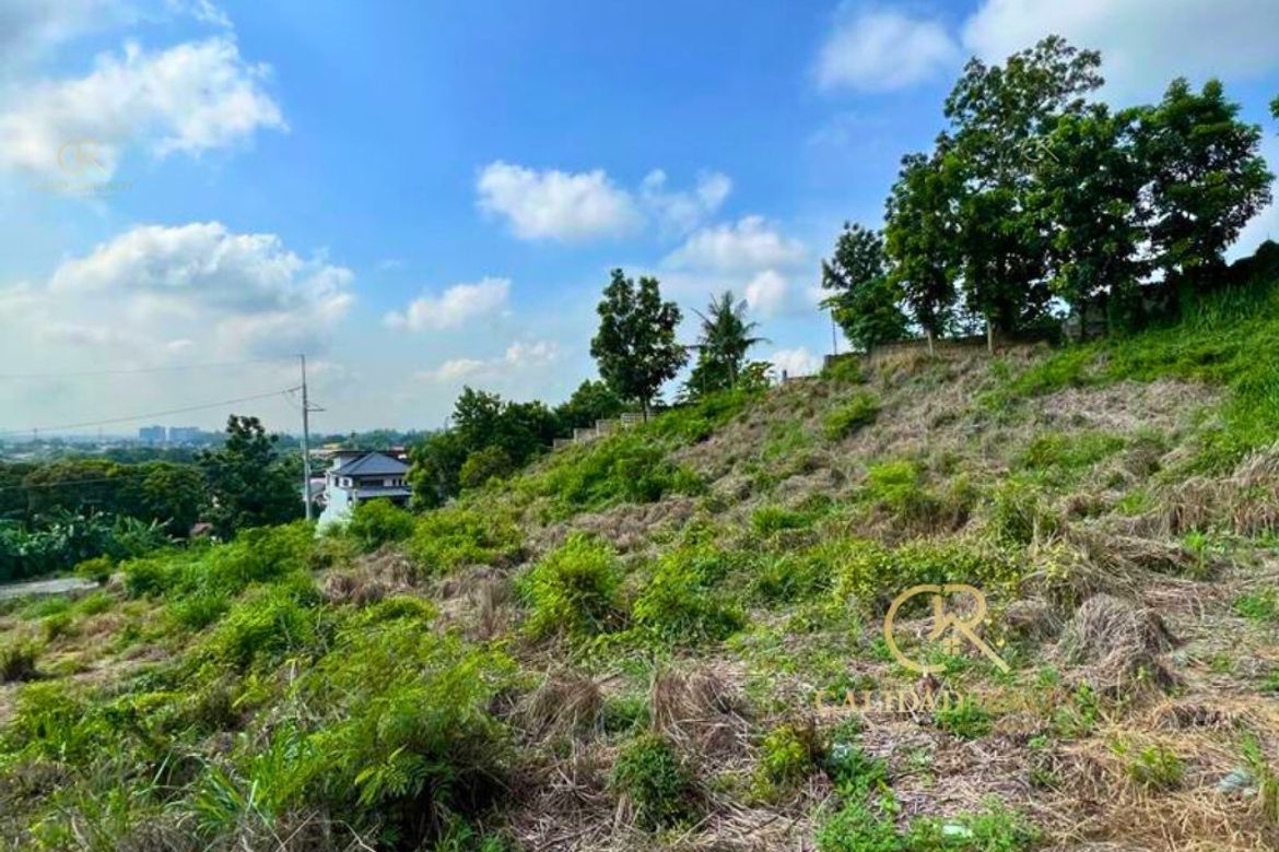 Land for Sale in San Vicente, San Pedro, Laguna