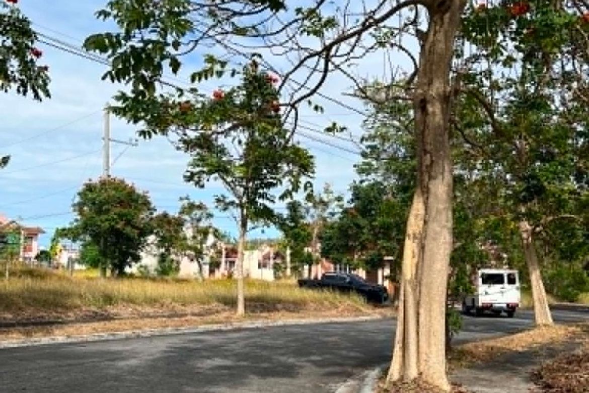 Land for Sale in San Vicente, San Pedro, Laguna