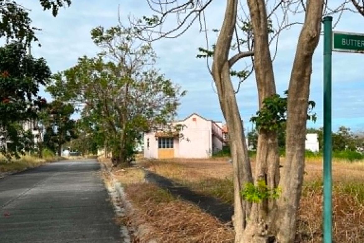 Land for Sale in San Vicente, San Pedro, Laguna – photo 2