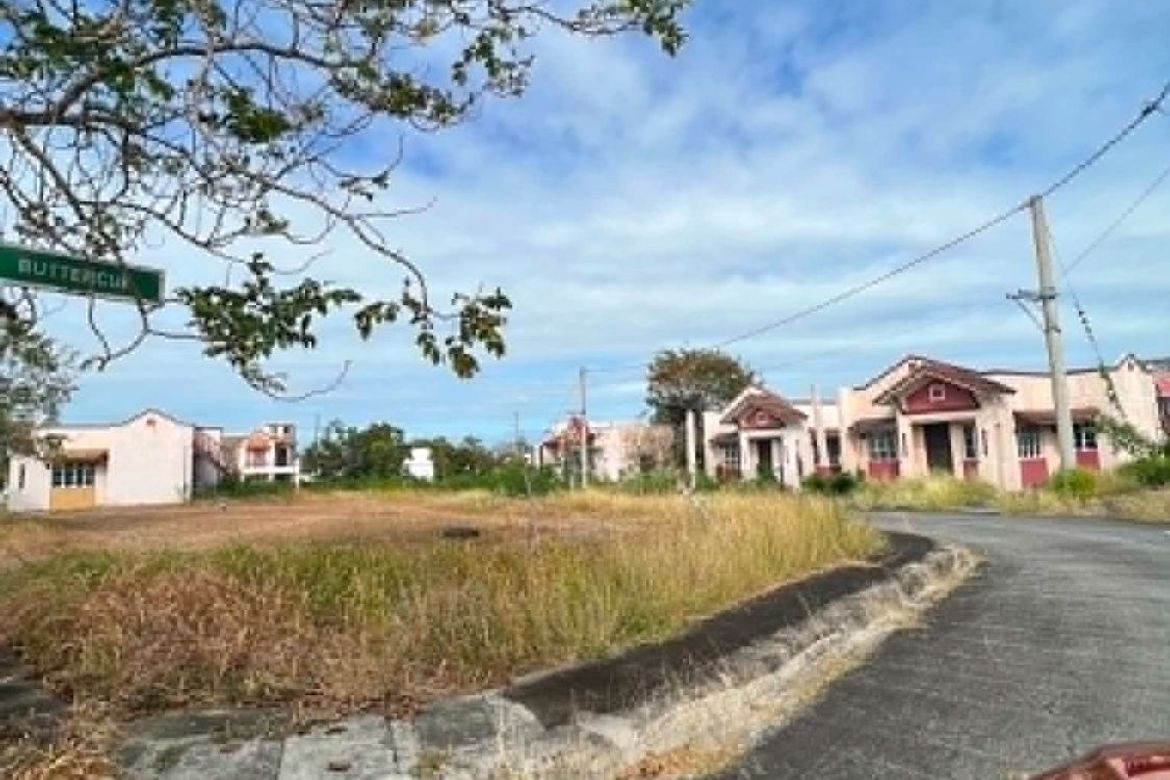 Land for Sale in San Vicente, San Pedro, Laguna – photo 3