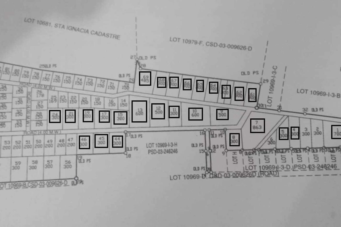 Land for Sale in San Vicente, Santa Ignacia, Tarlac