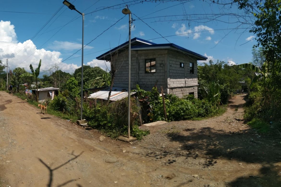 Land for Sale in San Vicente, Santa Ignacia, Tarlac – photo 5