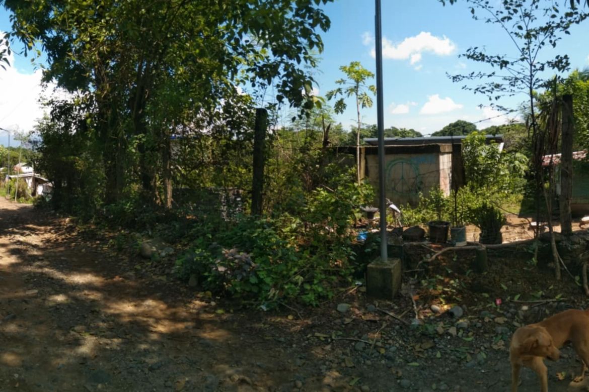 Land for Sale in San Vicente, Santa Ignacia, Tarlac – photo 6