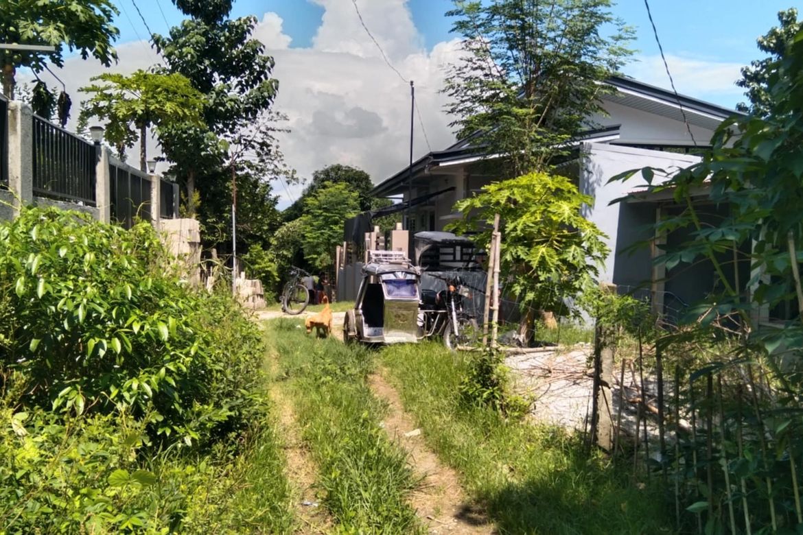 Land for Sale in San Vicente, Santa Ignacia, Tarlac – photo 7