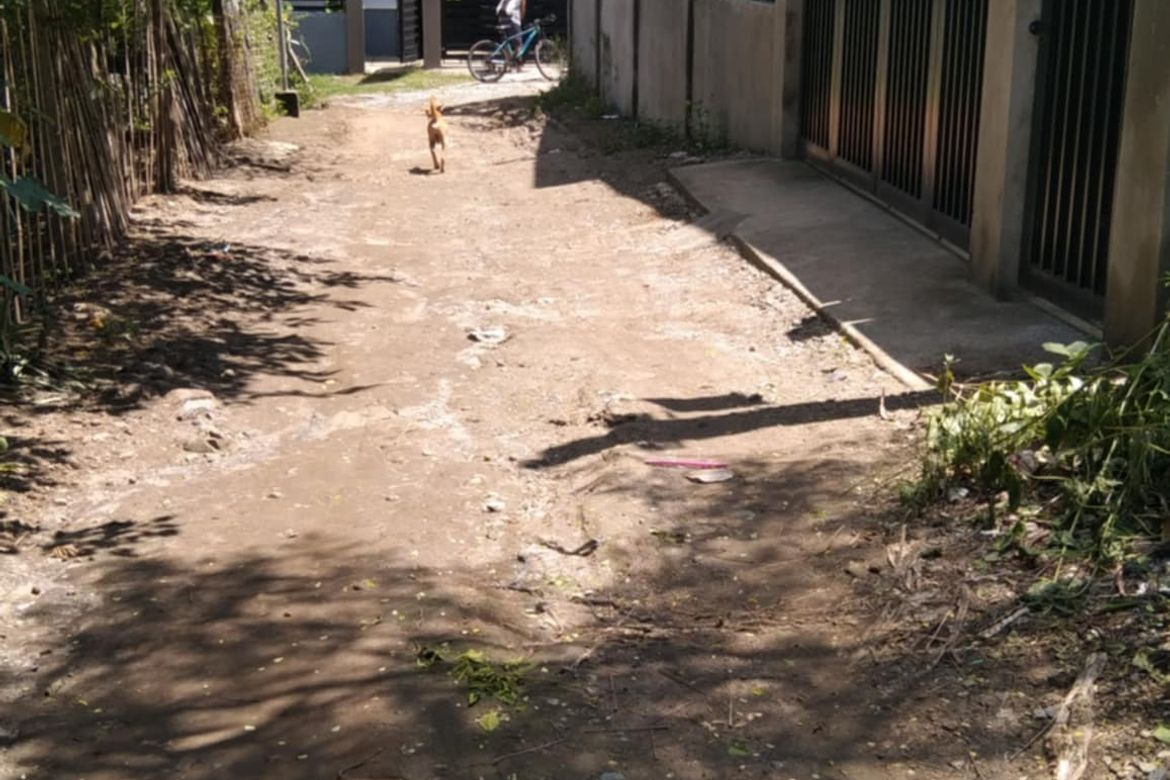 Land for Sale in San Vicente, Santa Ignacia, Tarlac – photo 8