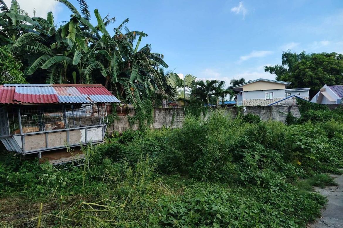 Land for Sale in San Vicente, Santa Maria, Bulacan – photo 3