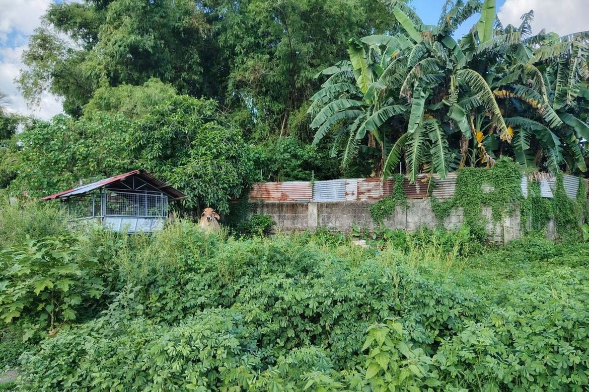 Land for Sale in San Vicente, Santa Maria, Bulacan – photo 4