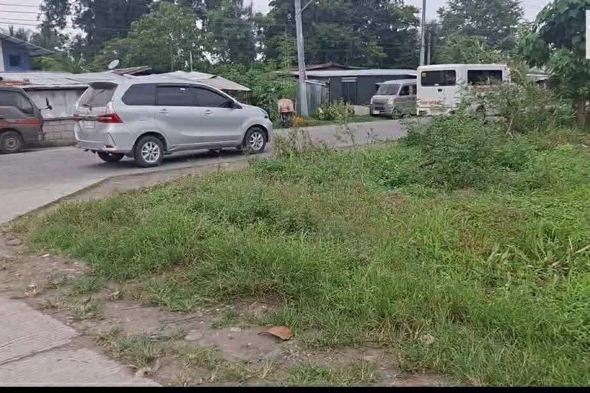 Land for Sale in San Vicente, Santo Tomas, Davao del Norte – photo 2
