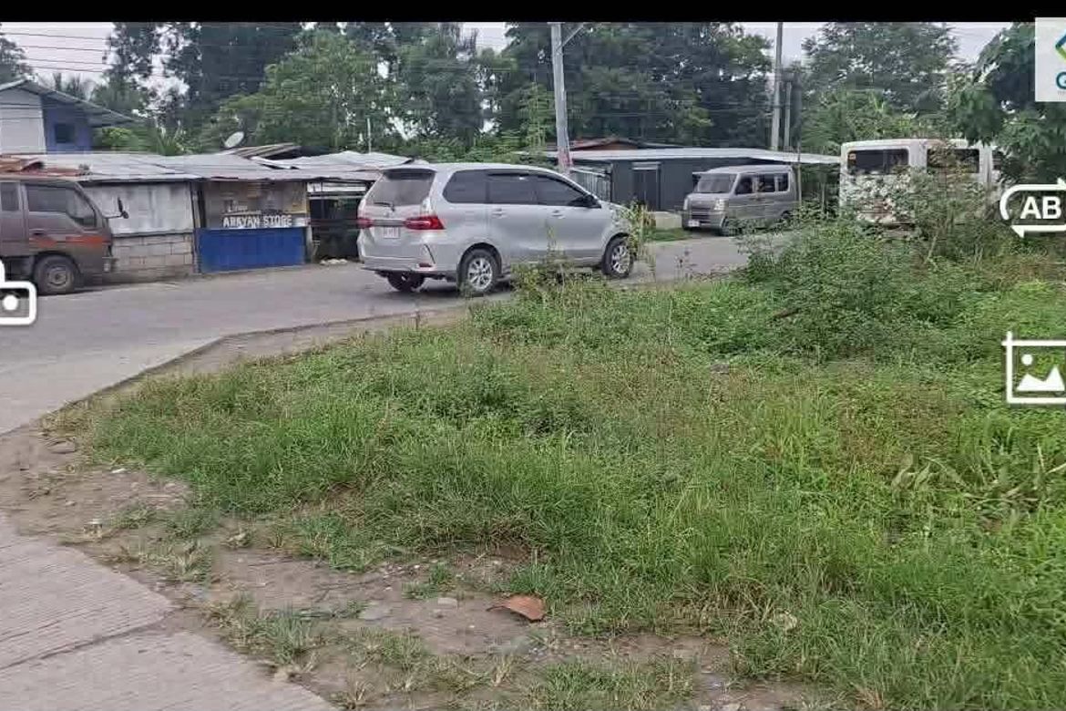 Land for Sale in San Vicente, Santo Tomas, Davao del Norte – photo 3