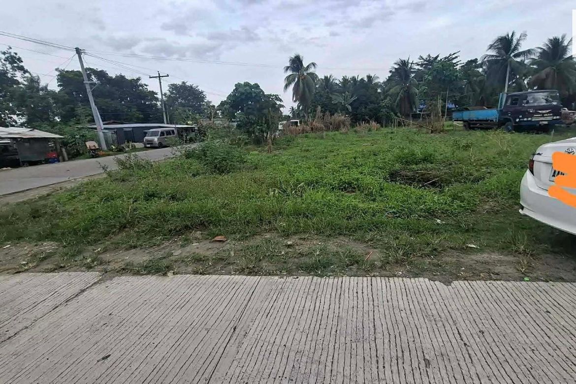 Land for Sale in San Vicente, Santo Tomas, Davao del Norte – photo 6