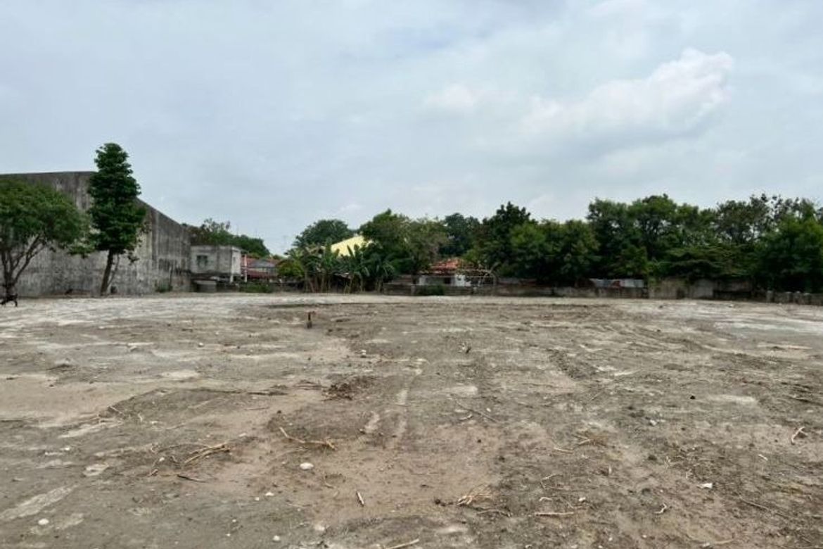 Land for Sale in San Vicente, Santo Tomas, Pampanga – photo 3