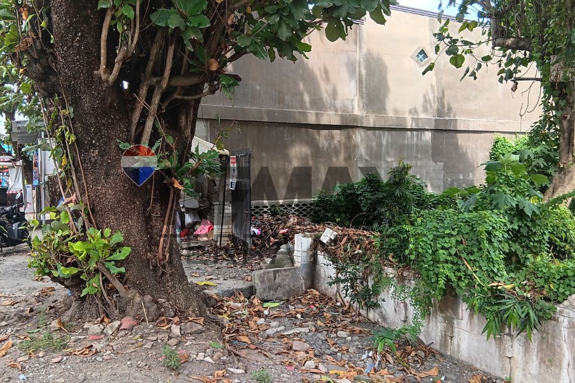 Land for Sale in San Vicente, Urdaneta, Pangasinan – photo 3