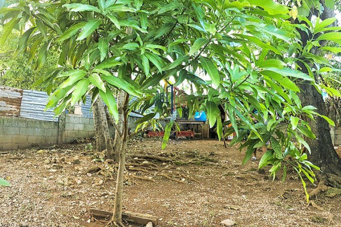 Land for Sale in San Viray, Malay, Aklan – photo 5