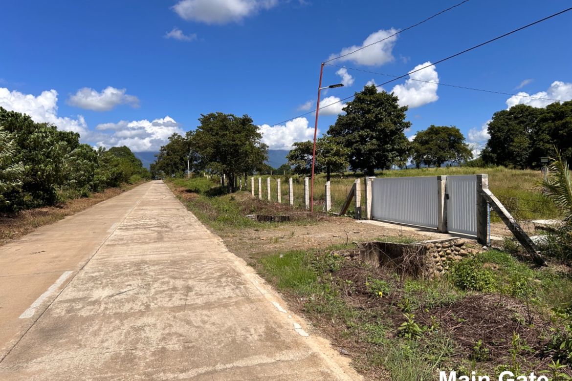 Land for Sale in Sandoval, Narra, Palawan – photo 4