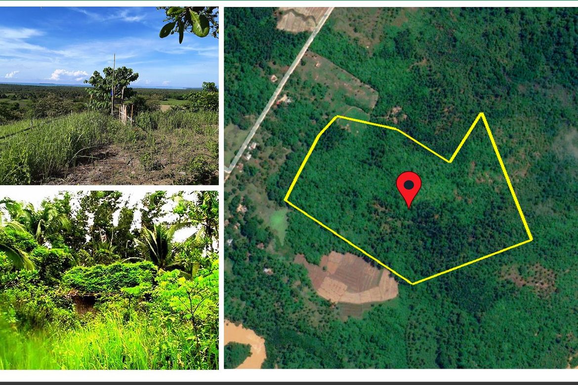 Land for Sale in Sandoval, Roxas, Palawan