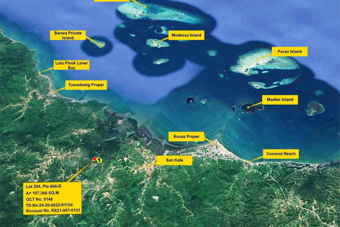 Land for Sale in Sandoval, Roxas, Palawan – photo 6