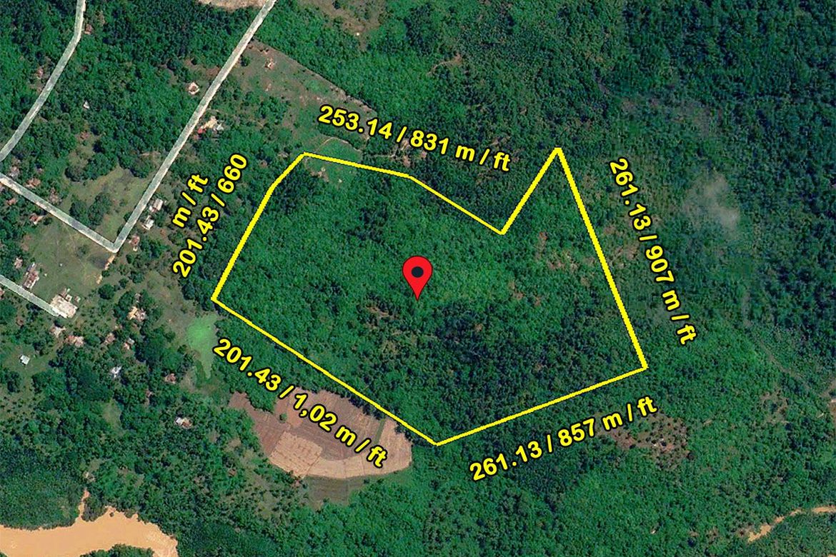 Land for Sale in Sandoval, Roxas, Palawan – photo 7
