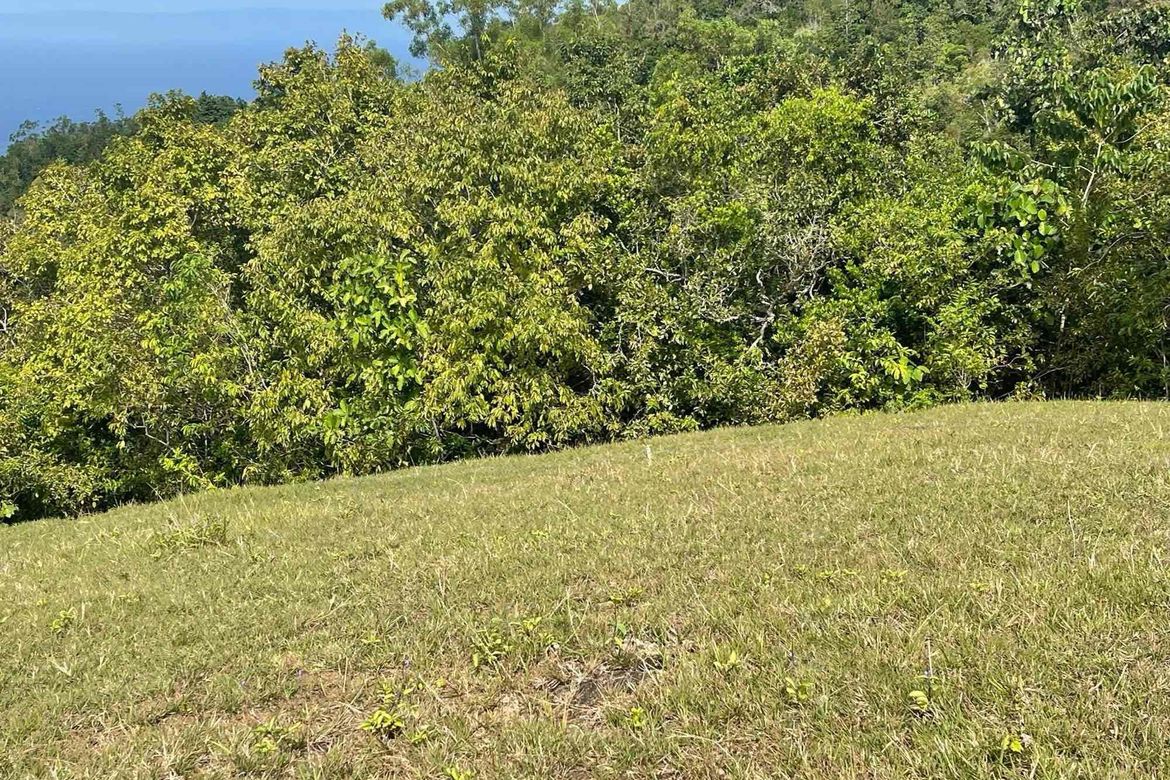 Land for Sale in Sandugan, Larena, Siquijor – photo 4