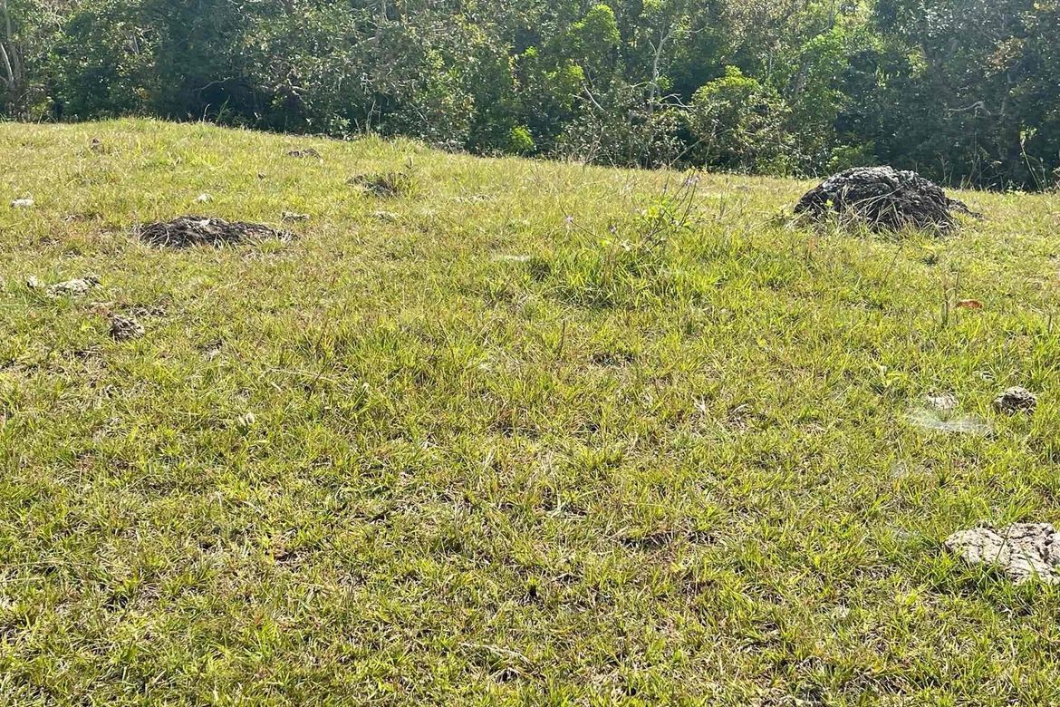 Land for Sale in Sandugan, Larena, Siquijor – photo 7