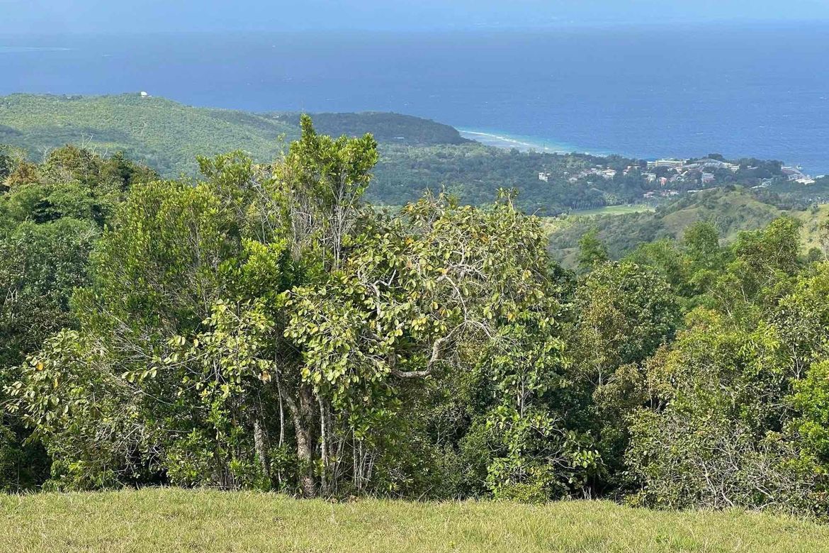 Land for Sale in Sandugan, Larena, Siquijor – photo 8
