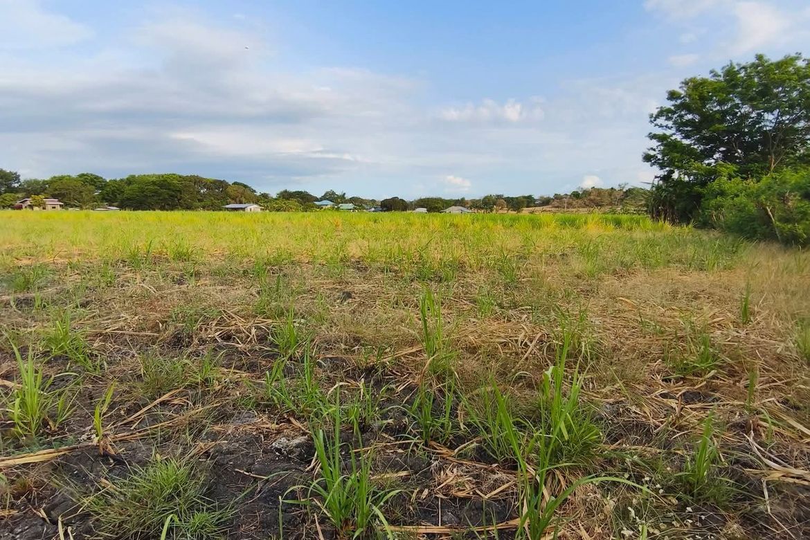 Land for Sale in Santa Ana, Calatagan, Batangas