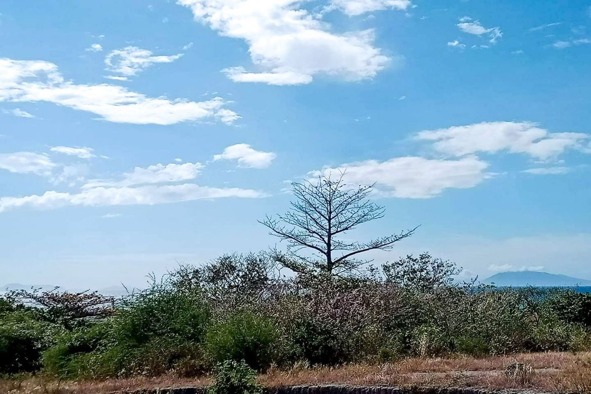 Land for Sale in Santa Ana, Calatagan, Batangas