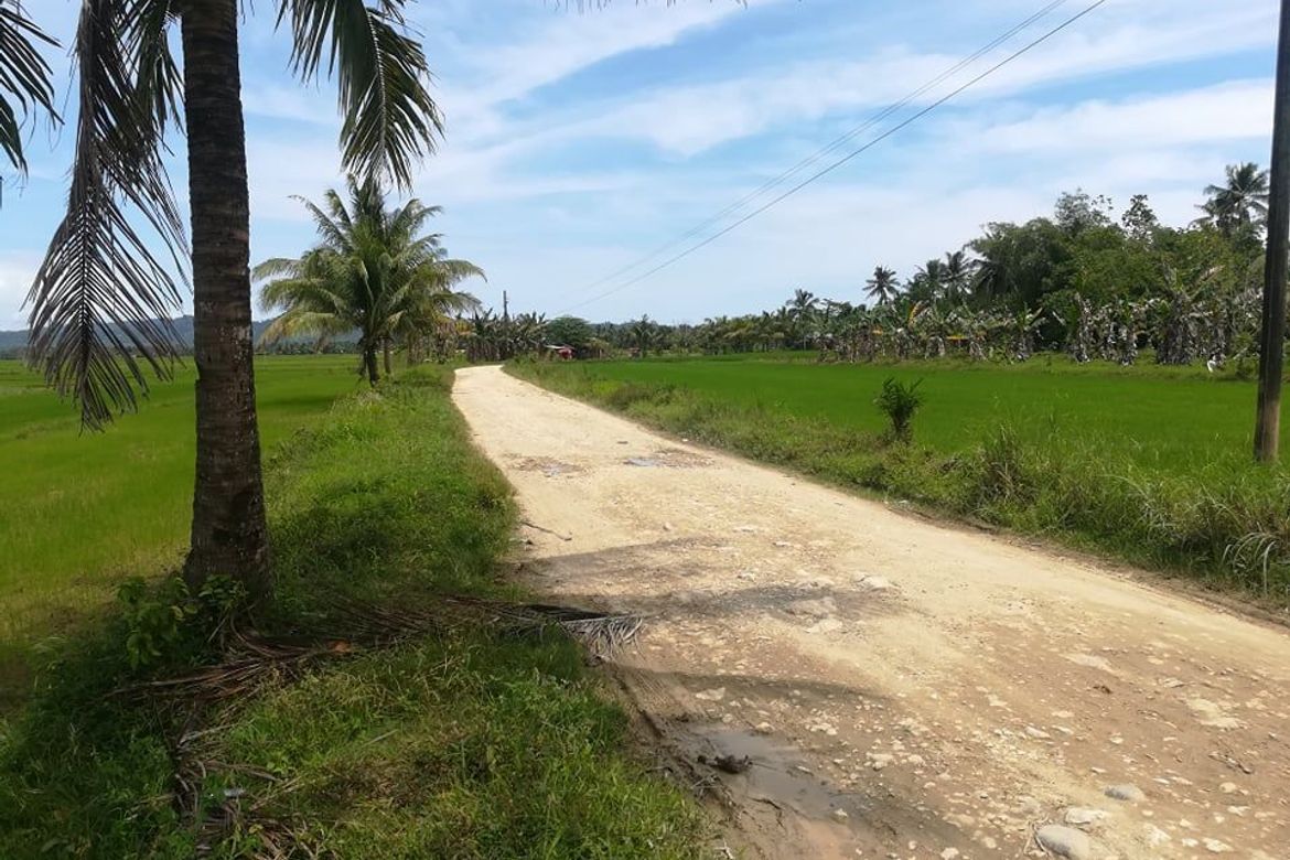 Land for Sale in Santa Ana, San Francisco, Agusan del Sur