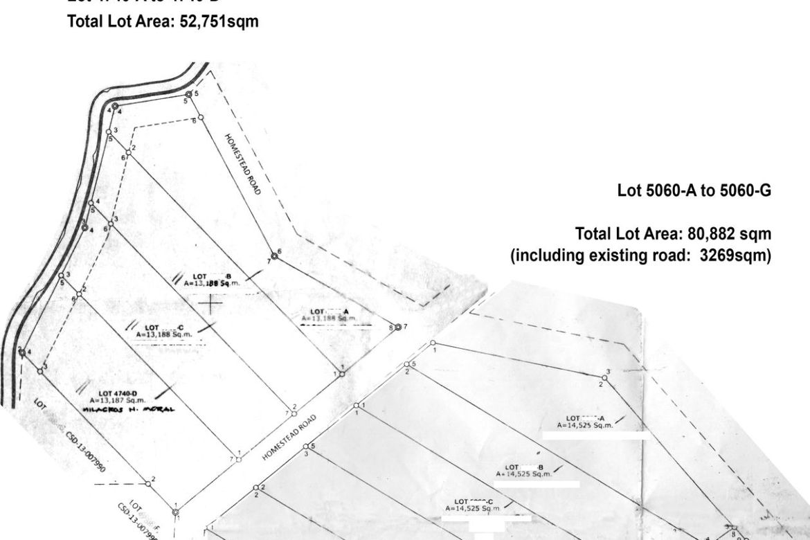 Land for Sale in Santa Ana, San Francisco, Agusan del Sur – photo 4