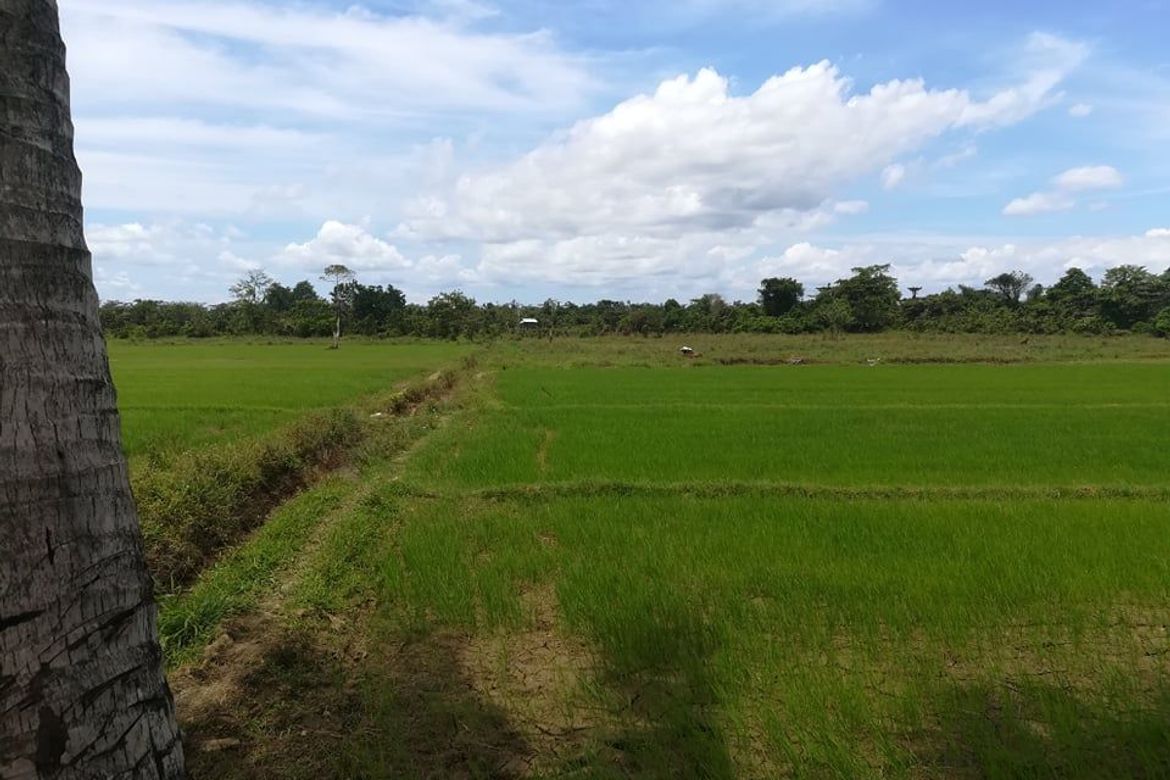 Land for Sale in Santa Ana, San Francisco, Agusan del Sur – photo 5