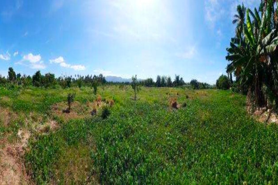 Land for Sale in Santa Ana, San Pablo, Laguna – photo 2