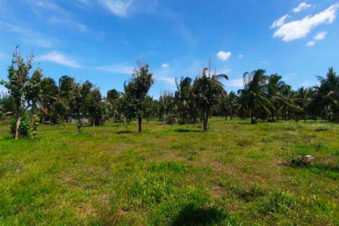 Land for Sale in Santa Ana, San Pablo, Laguna – photo 3