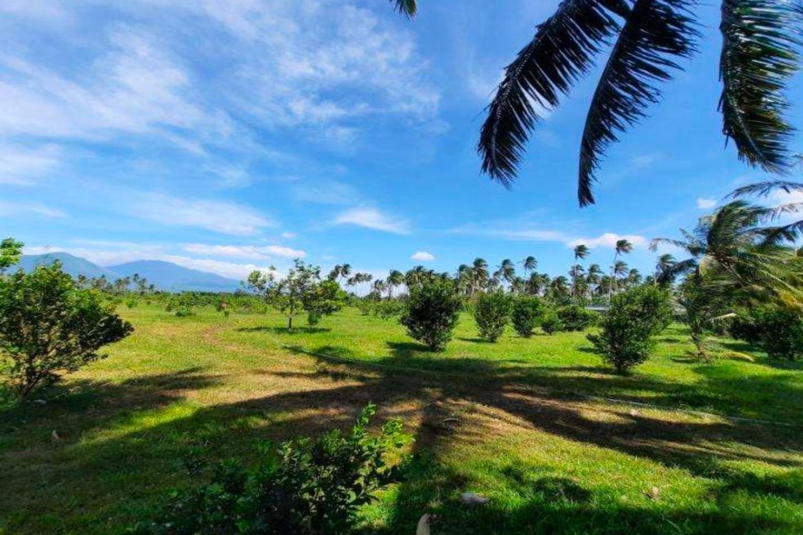 Land for Sale in Santa Ana, San Pablo, Laguna – photo 6