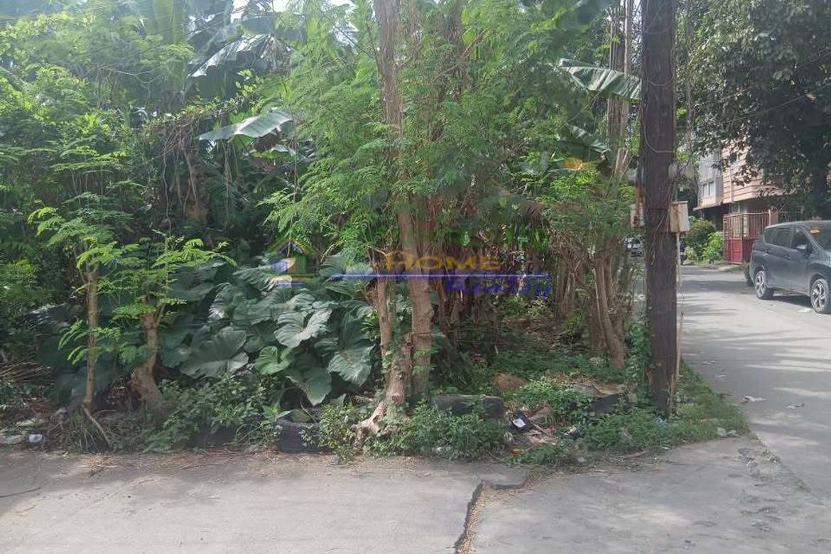 Land for Sale in Santa Ana, Taytay, Rizal – photo 3