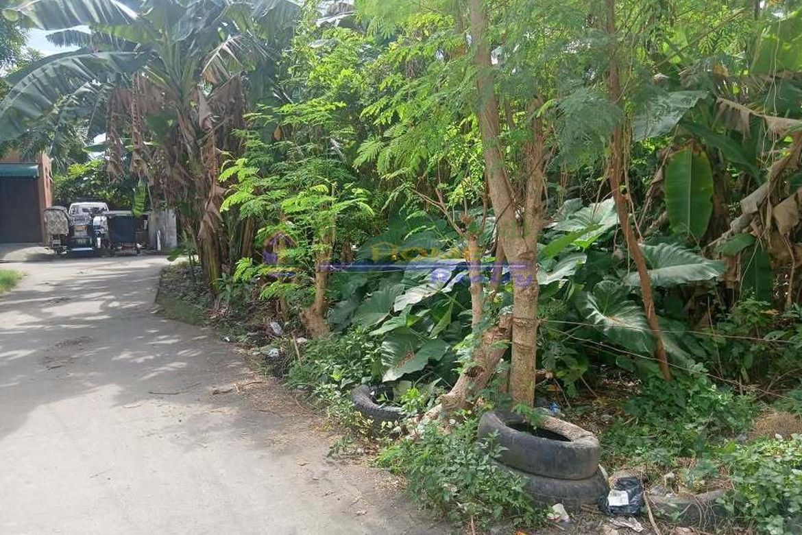 Land for Sale in Santa Ana, Taytay, Rizal – photo 5