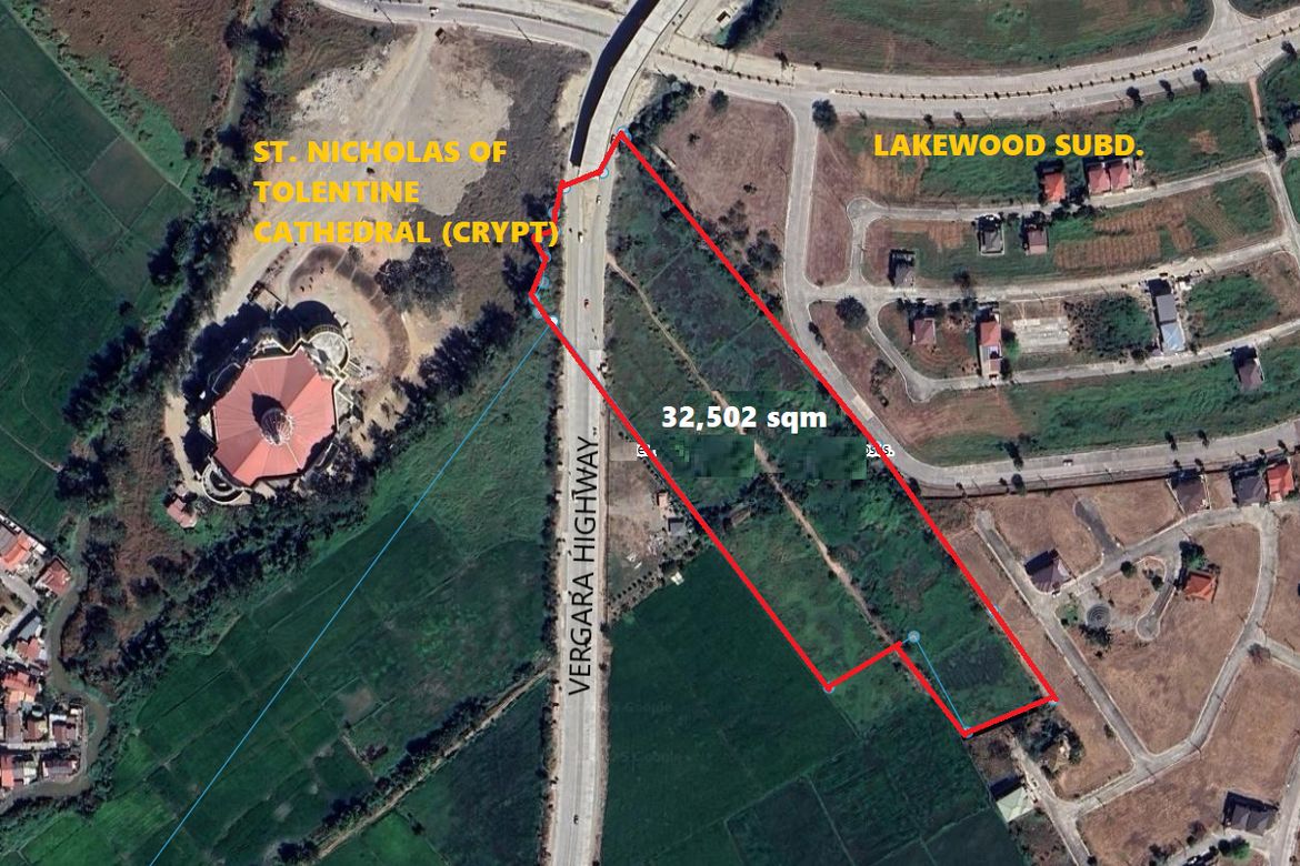 Land for Sale in Santa Arcadia, Cabanatuan, Nueva Ecija – photo 2