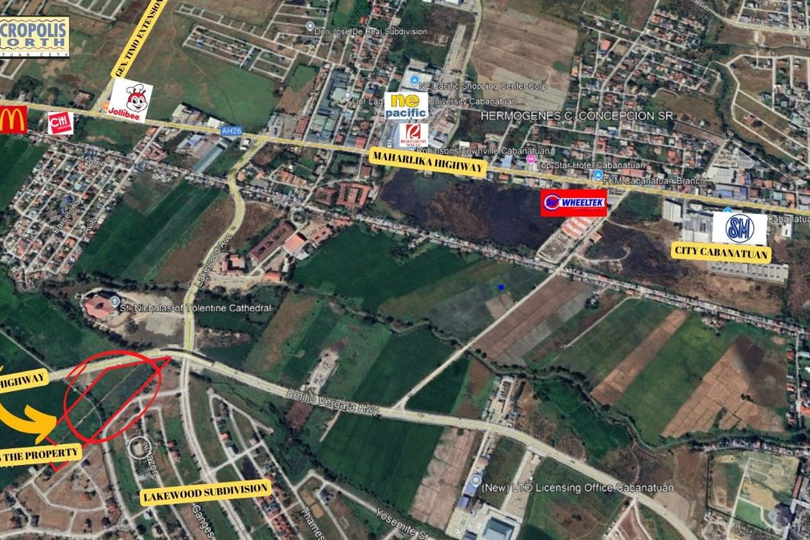 Land for Sale in Santa Arcadia, Cabanatuan, Nueva Ecija – photo 3
