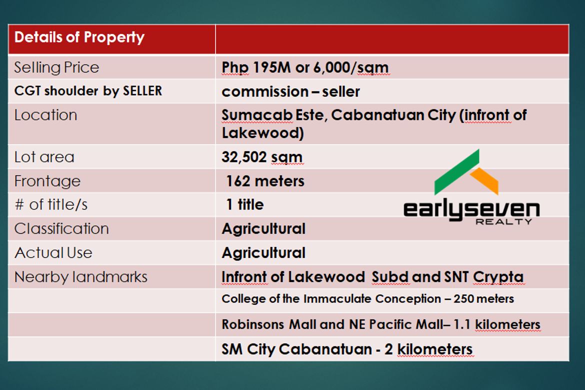 Land for Sale in Santa Arcadia, Cabanatuan, Nueva Ecija – photo 4